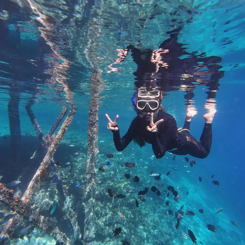 Snorkeling trip in the clear waters near the beach Arcadia Beach Resort