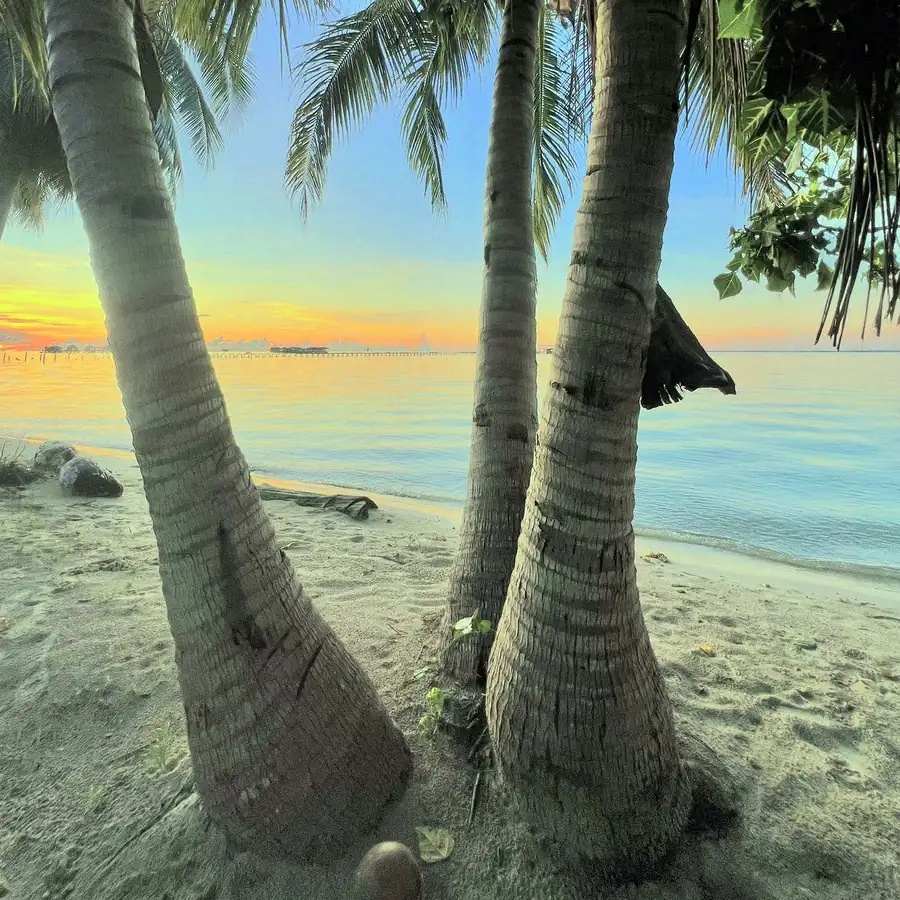 Palm trees and beaches during Tun Sakaran island hopping Arcadia Beach Resort